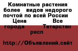 Комнатные растения более200видов недорого почтой по всей России › Цена ­ 100-500 - Все города  »    . Татарстан респ.